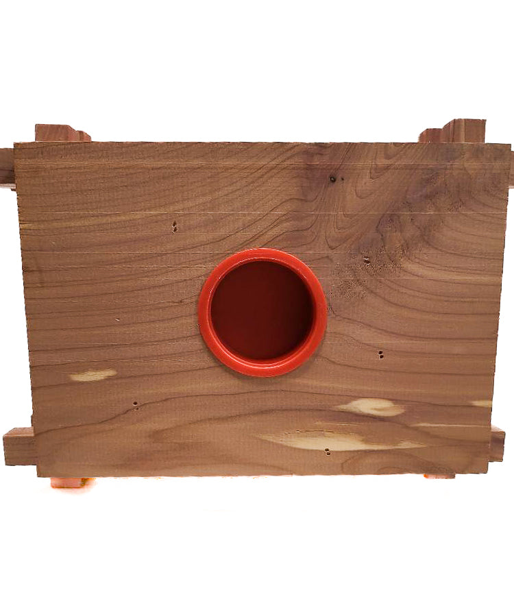 Bishop Castle Cabin Coin Bank